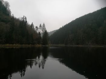 Scenic view of lake in forest against sky