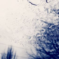 Close-up of water drops on leaf