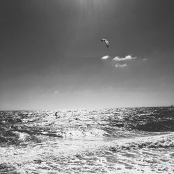 Birds flying over sea against sky