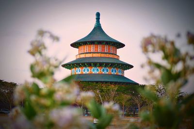 Close-up of plant against temple building and sky