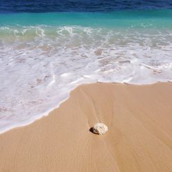 Scenic view of beach