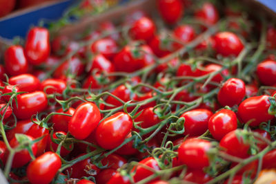 Close-up of cherry tomato