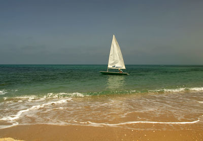 Sailboat in sea against sky