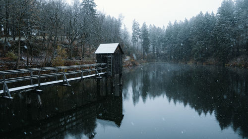 Reflection of trees in lake during winter