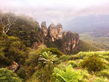 Scenic view of trees on mountain against sky