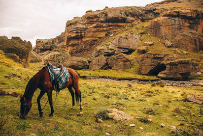 Horse grazing on field against mountains