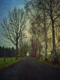 Empty road along trees