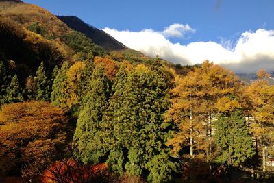 Scenic view of trees and mountains against sky