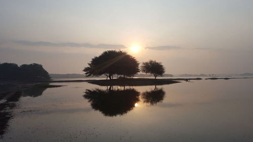 Silhouette trees by lake against sky during sunset