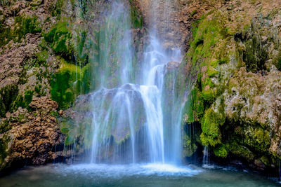 Scenic view of waterfall in forest