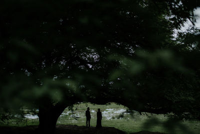 People standing by tree in forest