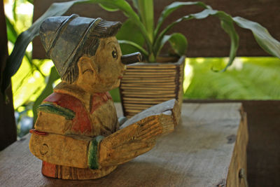 Close-up of a lizard on a basket