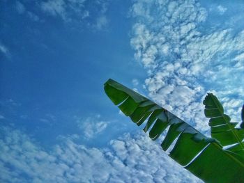 Low angle view of airplane flying against sky