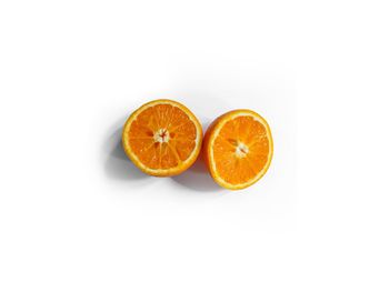 Close-up of orange fruit against white background