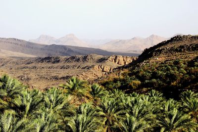 Canyon landscape in oman