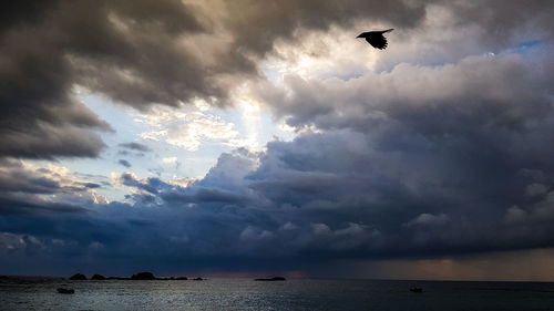 Birds flying over sea against sky