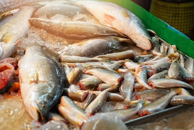 Close-up of fish for sale in market