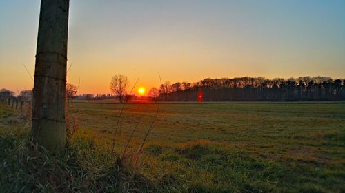 Scenic view of grassy field against sky at sunset