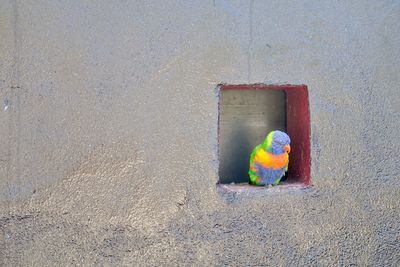 High angle view of painting on wall