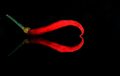 Close-up of red berries over black background