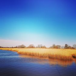 Scenic view of lake against clear blue sky