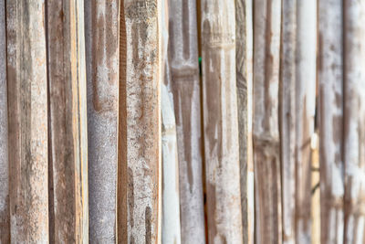 Full frame shot of bamboo fence