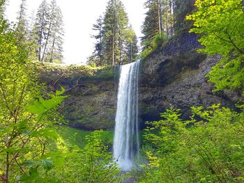 View of waterfall in forest