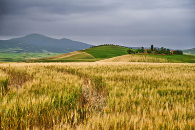 landscape