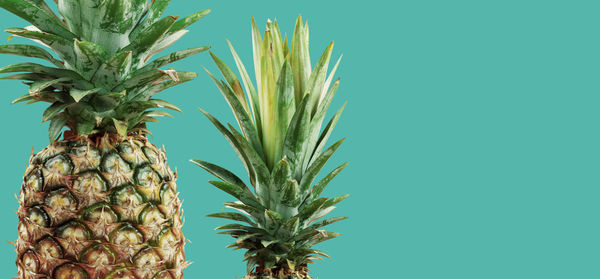 Close-up of pineapples against green background