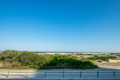 The beach with a wooden fence and sand dunes covered in plants in wildwood new jersey