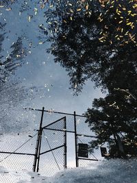 High angle view of trees by lake against sky