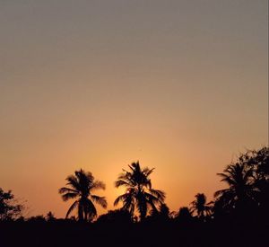 Silhouette trees against sky during sunset