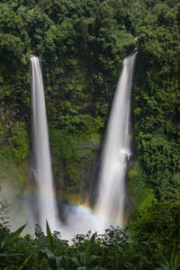 Scenic view of waterfall in forest