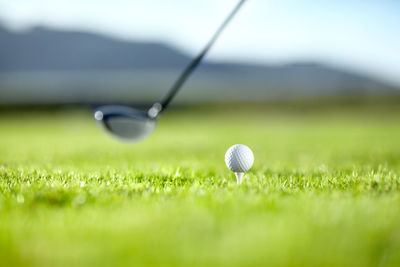 Golf ball on grass