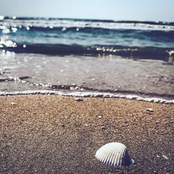 Surface level of sea shore against the sky