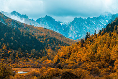 Panoramic view of trees and mountains against sky