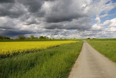 Scenic view of oilseed rape field against storm clouds
