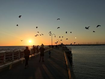 Silhouette birds flying over sea against sky during sunset