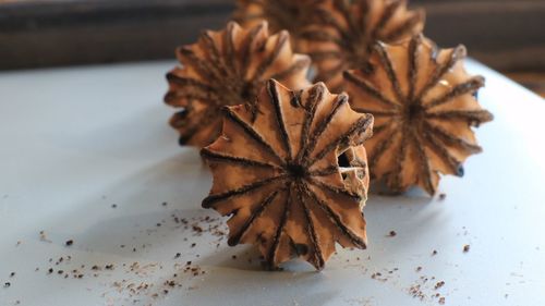 Close-up of pine cone on table