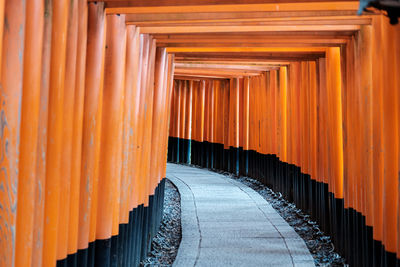 The famous fushimi inari gates, medium perspective, kyoto, japan.