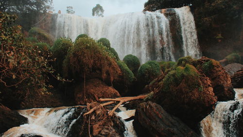 Low angle view of waterfall in forest