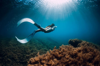 Man swimming in sea