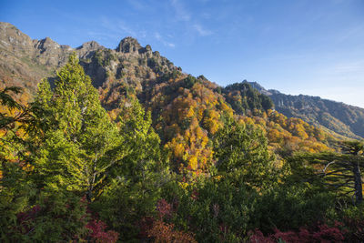 Scenic view of trees and mountains against sky