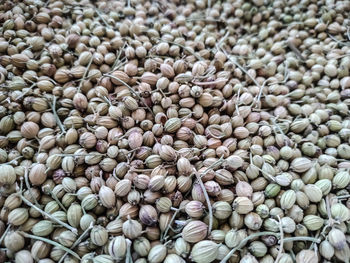 Full frame shot of coriander seeds for sale at market 