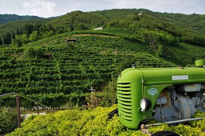 Scenic view of agricultural field