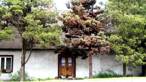 View of house and trees