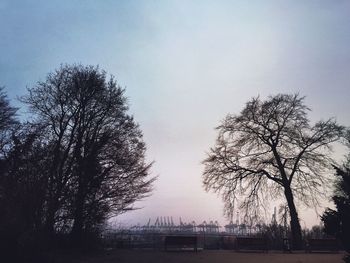 Bare trees against sky