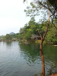 Scenic view of lake in forest against sky