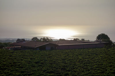 High angle view of houses by sea