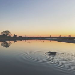 Scenic view of lake against clear sky during sunset